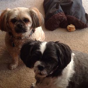 Meet your Posher, Chris